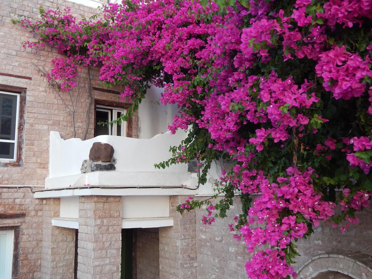 Hotel Le Petit Greek Fira  Exterior foto